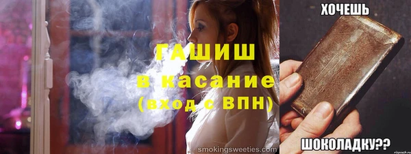 шишки Абаза