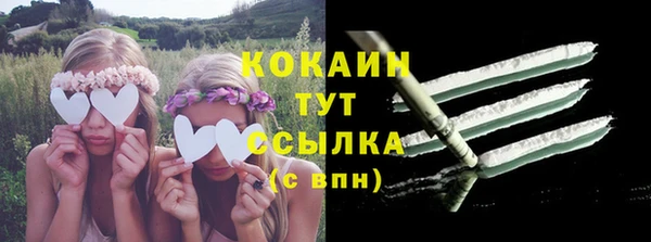 сатива Абдулино