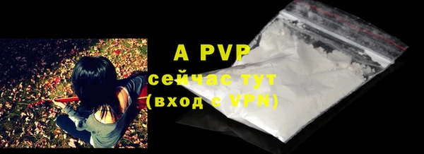 шишки Абаза