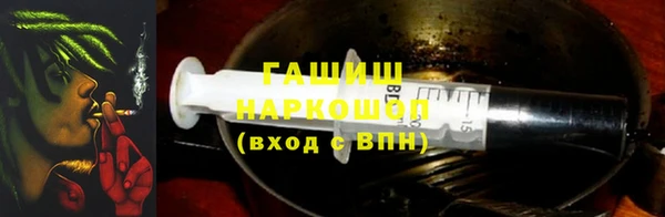 шишки Абаза