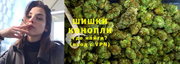 тгк Гусев