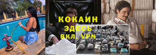 шишки Абаза