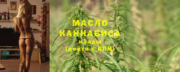 шишки Абаза