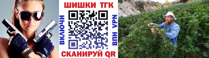Бошки Шишки MAZAR  Заринск 
